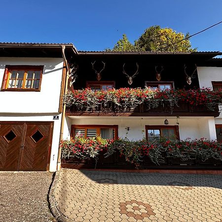 Haus Wagner Lejlighed Bad Kleinkirchheim Eksteriør billede